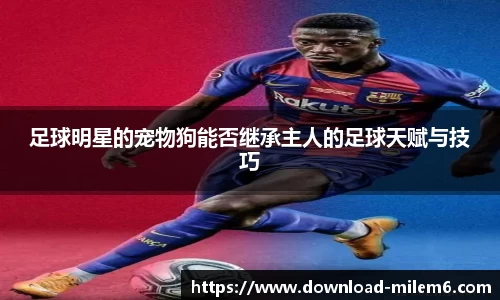 足球明星的宠物狗能否继承主人的足球天赋与技巧